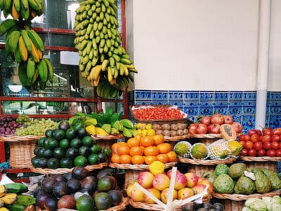 Tropical Paradise on a Plate: Exploring the Exquisite Fruits of Costa Rica