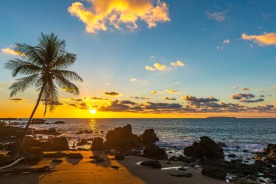 Sunset over Pacific Coast Guanacaste beach with palm trees